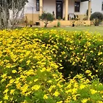 Casa Dos Avos Parceiros da Igreja